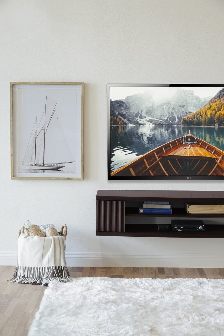 TV Stand Ideas