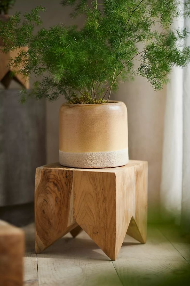 DIY Plant Stand